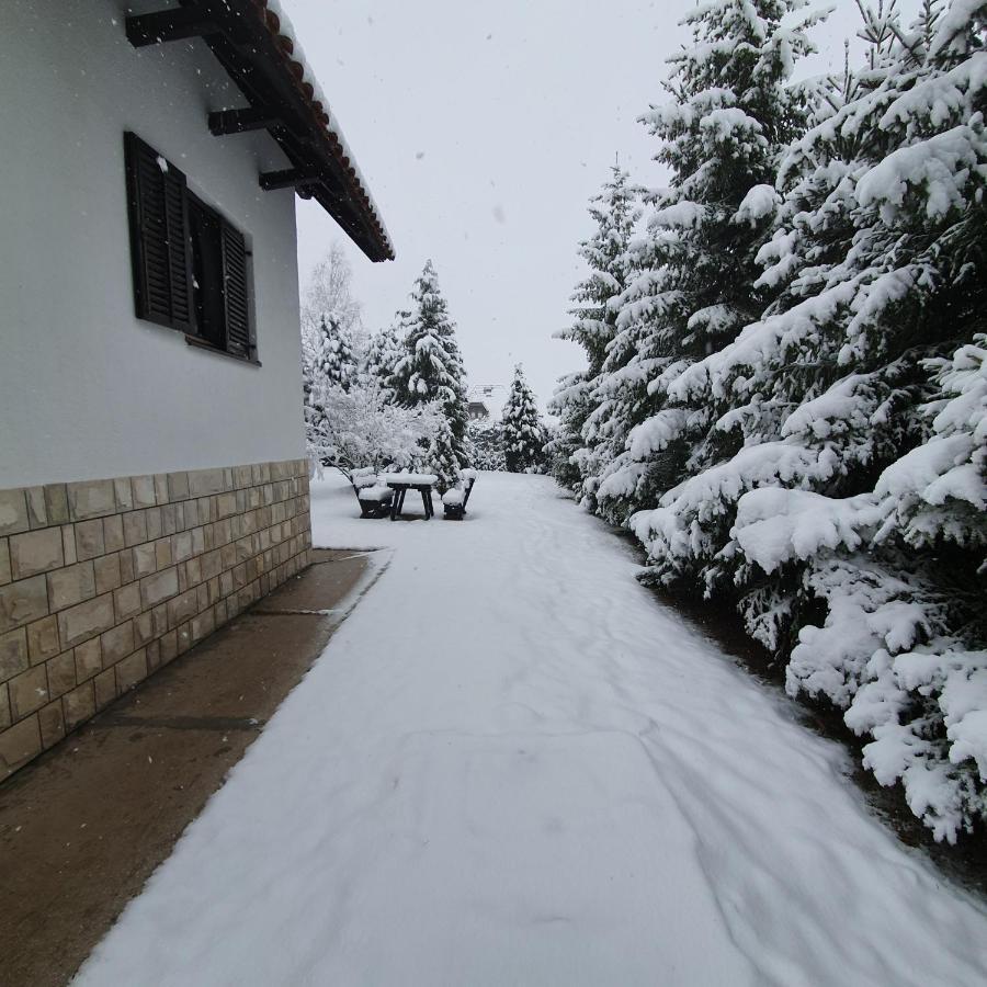 Planinska Kuca Sa Dvoristem Zlatibor