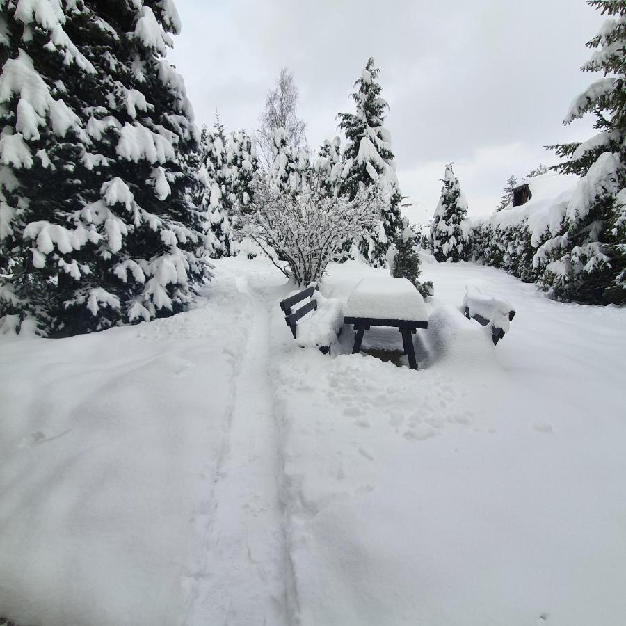 Planinska Kuca Sa Dvoristem Tatil Evi Zlatibor